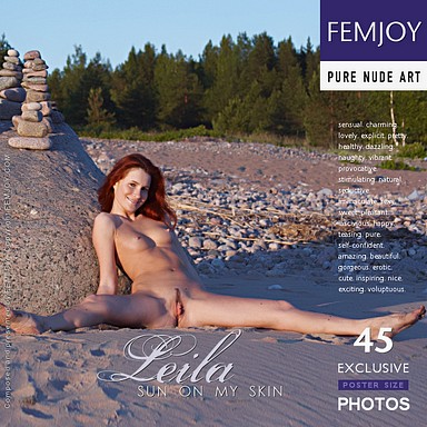 cover2_384x384.jpg